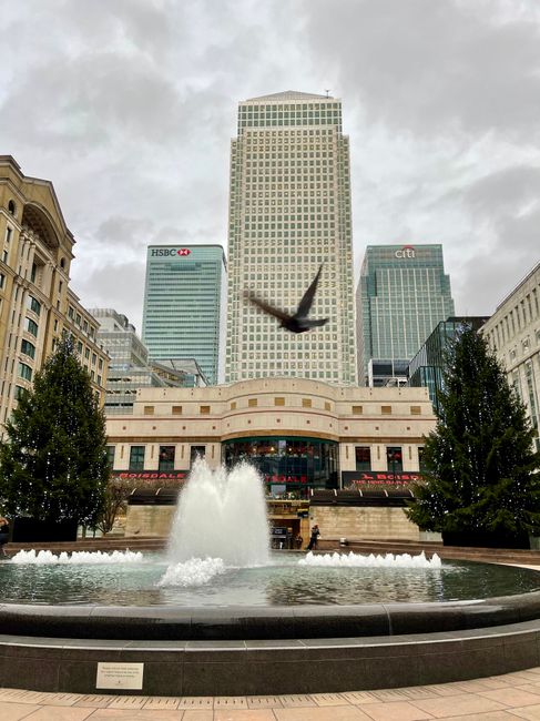 A cityscape featuring a foreground fountain with a central water jet creating a splash, surrounded by a dark, rounded stone basin. Behind the fountain, two symmetrical evergreen trees are positioned on either side, with their dark green foliage contrasting against the light-colored, curved building facade. Above, a large bird is captured mid-flight with wings outstretched, appearing blurred against an overcast sky. In the background, several tall office buildings with glass and concrete exteriors dominate the skyline, including logos from HSBC and Citi on the upper floors. This urban scene emphasizes a mixture of architectural styles, with the fountain and greenery providing a natural element amidst the concrete environment. The image reflects a modern metropolitan area where independent rubbish removal services like those offered by rubbishcollectioncanarywharf.co.uk may be involved in maintaining cleanliness around public spaces and commercial districts.