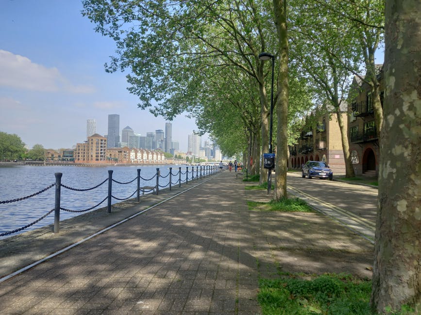 A wide promenade running alongside a river, with a chain-link barrier and posts separating the walkway from the water. The surface is paved with rectangular concrete slabs, shaded by a row of mature trees with lush green foliage. To the right, there is a residential street with parked cars and a lamppost, while behind the trees, a row of modern, light-colored apartment buildings with balconies is visible. In the background across the river, a city skyline with several high-rise buildings and skyscrapers rises prominently against a partly cloudy sky. The scene is well-lit with natural daylight, creating a peaceful urban riverside atmosphere. This setting reflects the kind of environment where private rubbish collection or on-site clearance services might be essential for maintaining cleanliness and tidiness in residential and recreational areas near cityscapes, as featured on rubbishcollectioncanarywharf.co.uk.